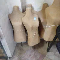 مانکن در حد نو