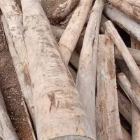 خرید فروش چوب