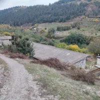 جذب کار آفرین در زمینه کشاورزی و دام وطیور