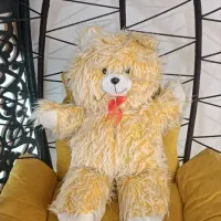خرس مهربون دونه ای ۲۰۰