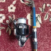 لنسر کاملاً سالم و قوی