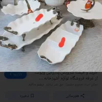 سرویس پذیرایی نو