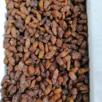 کنجد اعلا تمیز|عمدهفروشی|نیشابور, شهید جعفری|دیوار