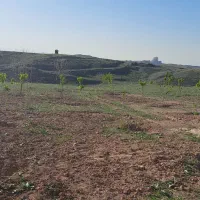 گچ کنه طرقبه