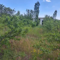 باغچه-سرپناهی-امن-برای-خانواده-در-شرایط-فعلی