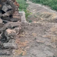 ۲۱۰۰ متر باغ تاکستان|فروش دفتر صنعتی، کشاورزی، تجاری|تهران, مینابی|دیوار
