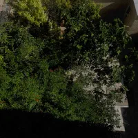 منزل مبله خانه مبله|اجارهٔ کوتاه‌مدت آپارتمان و سوئیت|صدرا-فارس, فاز ۱|دیوار