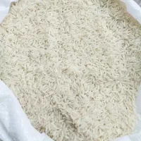 برنج اعلا آستانه اشرفیه کشت ارگانیک کاشت زمین خودم