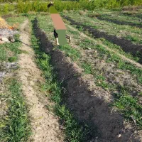 زمین باغی و کشاورزی ملکی