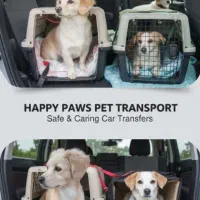 حمل و نقل پت