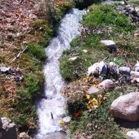 باغ ۴۰۰۰ متری در روستای ده سرخ سد کارده