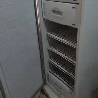 فریزر تک سالم