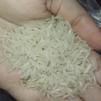 دو تن برنج مختار هاشمی