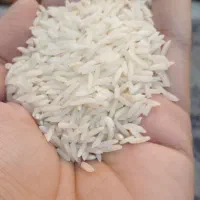 برنج بدون کود بدون دوا محصول بجار خودم