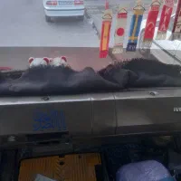 مینی بوس اویکو|خودرو سنگین|رباط‌کریم, رباط‌کریم|دیوار