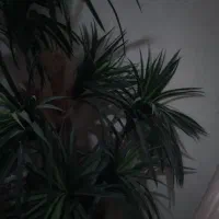 درختچه نخل مصنوعی