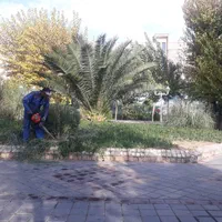 خدمات نوین باغبانی(متین)|خدمات باغبانی و درختکاری|تهران, فلاح|دیوار