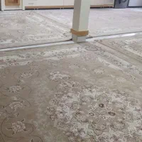 فرش سالم ومرتب تراکم بالا