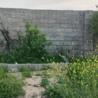 فروش باغ 1260متری نرسیده به چم گلک معاوضه با ماشین|فروش دفتر صنعتی، کشاورزی، تجاری|اندیمشک, |دیوار
