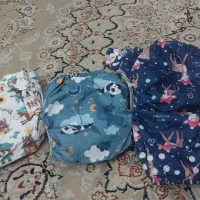 پوشک دائمی