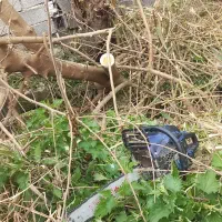 قطع ‌خرید چوب باغی|خدمات باغبانی و درختکاری|گلوگاه بابل (گلیا), |دیوار