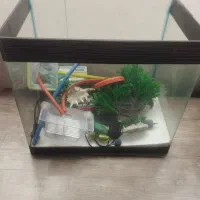 شیشه با وسایل