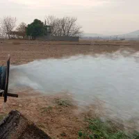 فروش زمین کشاورزی در بیضا|فروش زمین و ملک کلنگی|بیضا, |دیوار