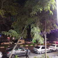 فروشنده خانم (شیفت عصر)
