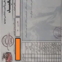 پژو ۲۰۶ کاملا سالم SD TU5 V8 مدل ۹۷|خودرو سواری و وانت|اصفهان, همدانیان|دیوار