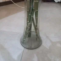 گل بامبو۵عددبا گلدان|گل مصنوعی|تهران, قاسمآباد|دیوار