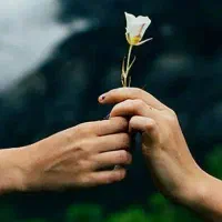 ترک کن تا بهتر زندگی کنی