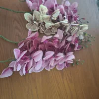 گل ارکیده وگلدان