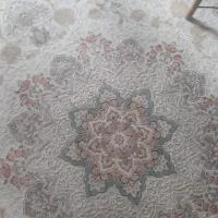 فرش ۱۲ متری نخ تورک|فرش|مبارکه, |دیوار