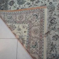 فرش دستبافت|فرش|مشهد, جاهد شهر|دیوار
