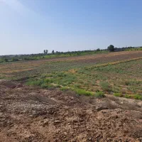 اجاره زمین کشاورزی ۲هکتار