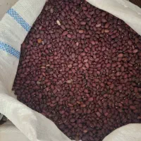 لوبیا قرمز بوجاری شده درجه یک