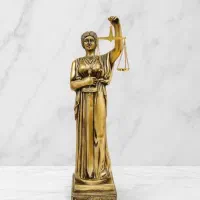 وکیل و کارآموز وکالت خانم