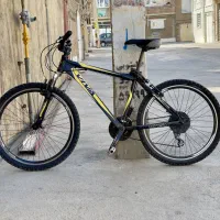 دوچرخه ویوا در حد