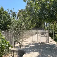 پانسیون سگ ایران آوچارکا