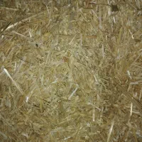 کاه گندم و جو فله ای