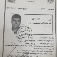 آموزش رانندگی تضمینی