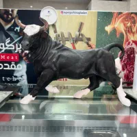 نیرو کار ساده  در قصابی