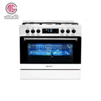 گاز فردار اسنوا