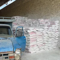 مصالح ساختمانی/گچ/سیمان/اهک|مصالح و تجهیزات ساختمان|حمیدیا, |دیوار