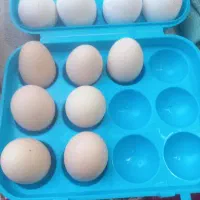 تخم مرغ برهماوتخم محلی