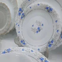 سرویس غذاخوری ارکوپال الیزابت آبی|ظروف سرو و پذیرایی|تهران, شوش|دیوار