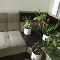 مبل ال کاملا سالم فقط نیاز به شستشو داره|مبلمان خانگی و میز عسلی|سمنان, |دیوار