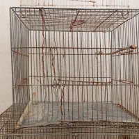 قفس|لوازم جانبی حیوانات|مشهد, فدک|دیوار