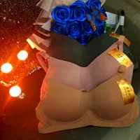 لباس زیرزنانه|لباس|پرند, فاز ۴|دیوار