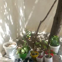مغازه-20متری